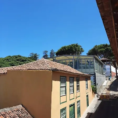 Raiz Drago Apartment Icod De Los Vinos