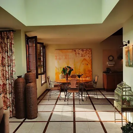 Apartment Raiz Del Drago Icod De Los Vinos