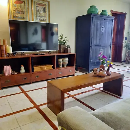 Apartment Raiz Del Drago Icod De Los Vinos