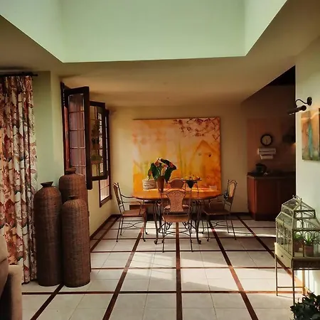 Raiz Drago Lejlighed *